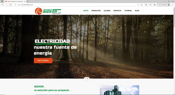 Diseno-de-pagina-web-sector-construccion1