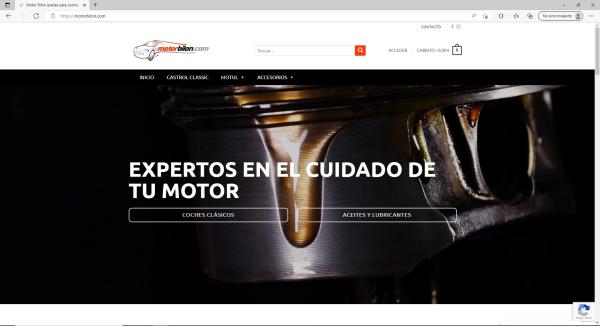 Diseno-de-pagina-Web-tienda-online-para-empresa-de-productos-para-vehiculos