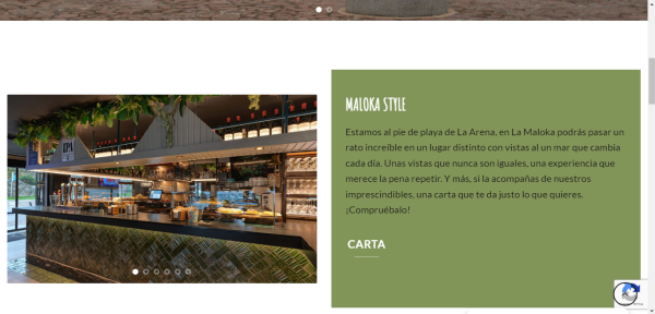 diseno-web-maloka